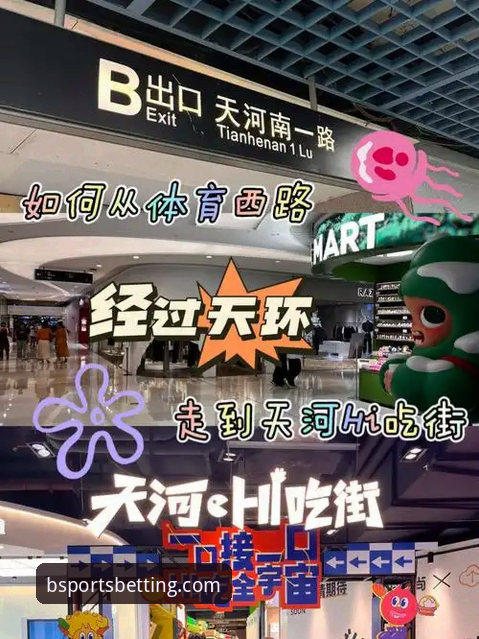 B体育官网教程全面解析：老用户手把手教你如何快速找到官方入口